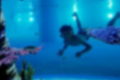 Pojke dyker i grottbassängen på Lalandia i Billund