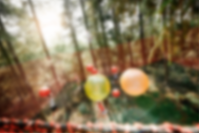 WOW PARK Billund - der wildeste Spiel- und Vergnügungspark im Wald!