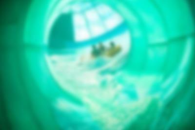 Erleben Sie den Aquadome