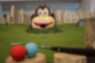 Wo landet der Golfball wohl das nächste Mal