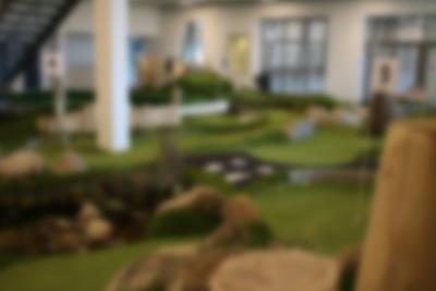 Wo landet der Golfball wohl das nächste Mal