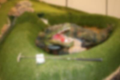 Wo landet der Golfball wohl das nächste Mal