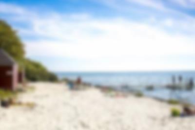Tag familien i hænderne og gå en tur ved den skønne sandstrand