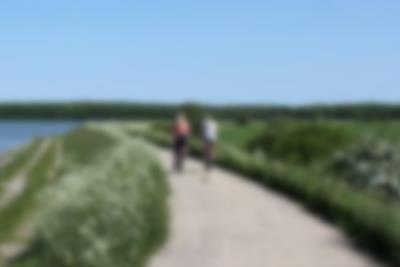 Upplev naturen på två hjul